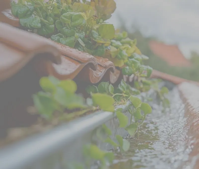 Regenwater stroomt door een dakgoot met groen